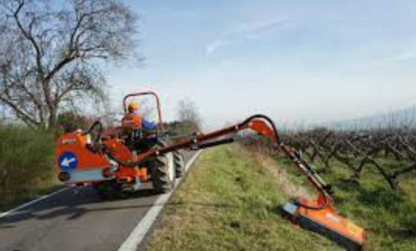 Rinieri BRV Flail Hedge Trimmer - Image 5