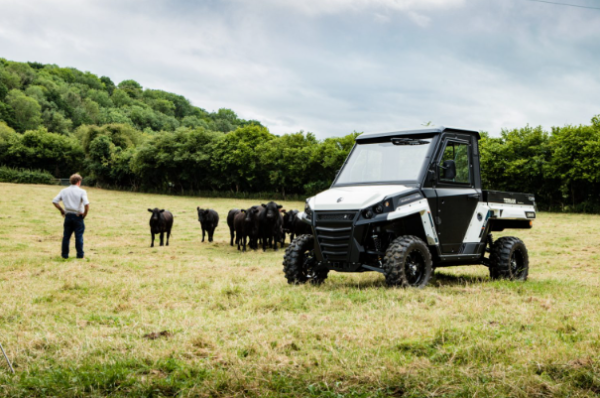 Corvus Terrain DX4 UTV - Image 2